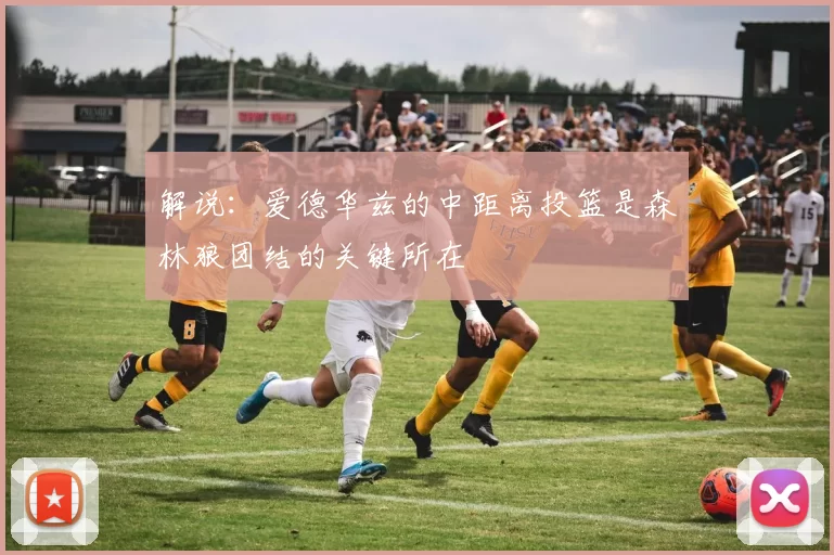 解说：爱德华兹的中距离投篮是森林狼团结的关键所在